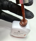 ESMALTE EM GEL MAGNETICO 02 DAFU 10ml INVILA - Tudo para unhas em gel
