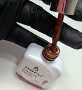 ESMALTE EM GEL MAGNETICO 04 DAFU 10ml INVILA - Tudo para unhas em gel