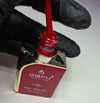 ESMALTE DAFU GEL POLISH 10 MAX 12ML INVILA - Tudo para unhas em gel