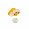 DISCO DE LIXA PLANTAR GR220-  100 UND INVILA - Tudo para unhas em gel