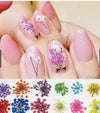 KIT FLOR SECA INVILA - Tudo para unhas em gel