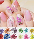 KIT FLOR SECA INVILA - Tudo para unhas em gel