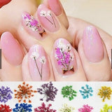 KIT FLOR SECA